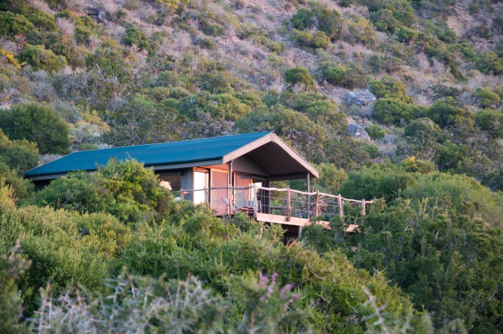 Hillsnek Safari Camp - Amakhala Game Reserve Zimmer foto