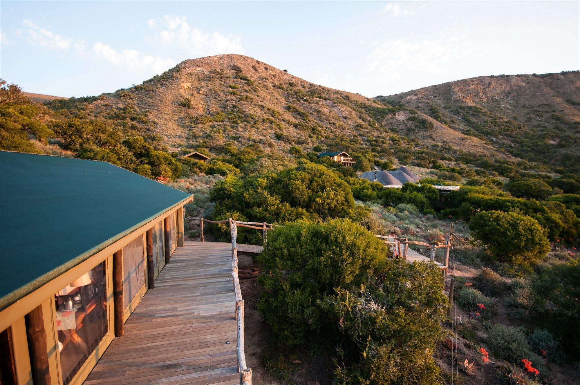 Villa Hillsnek Safari Camp - Amakhala Game Reserve Exterior foto